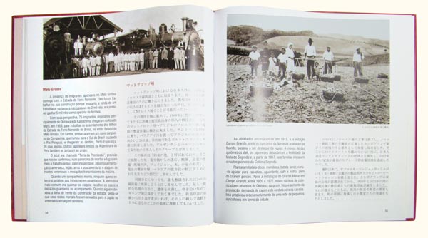 imigração japonesa